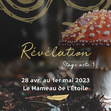 Stage Révélation - Acte 1 - Du 28 avril au 1er mai 2023 (sans hébergement)