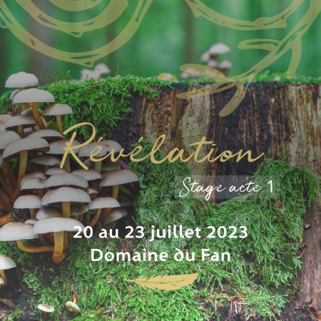 Stage Révélation - Acte 1 - Du 20 au 23 juillet 2023