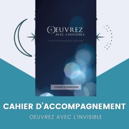 Cahier d'accompagnement – Arnaud Riou | Oeuvrez avec l'invisible