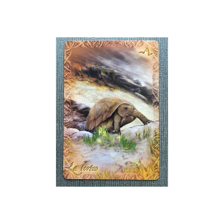 L’Oracle du peuple animal